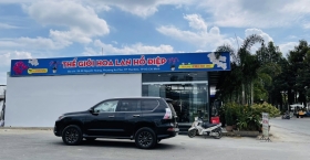 Chuyên sỉ lan hồ điệp